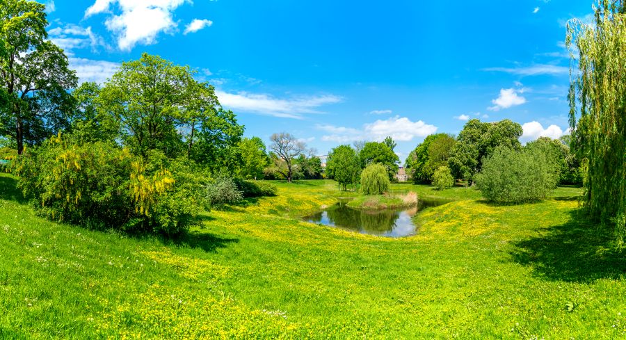 Картина на холсте Дрова, арт hd2096601
