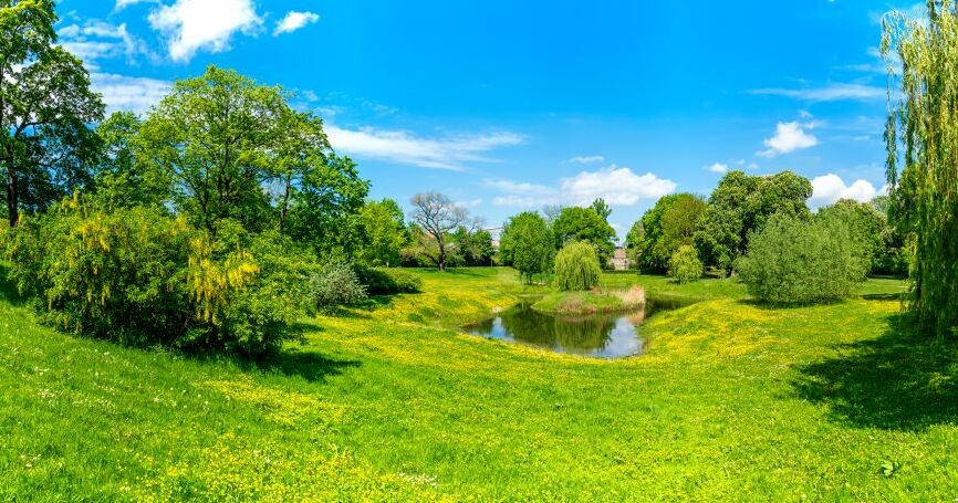 Картина на холсте Дрова, арт hd2096601