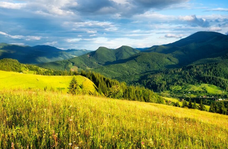 Картина на холсте русское поле, арт hd0939601